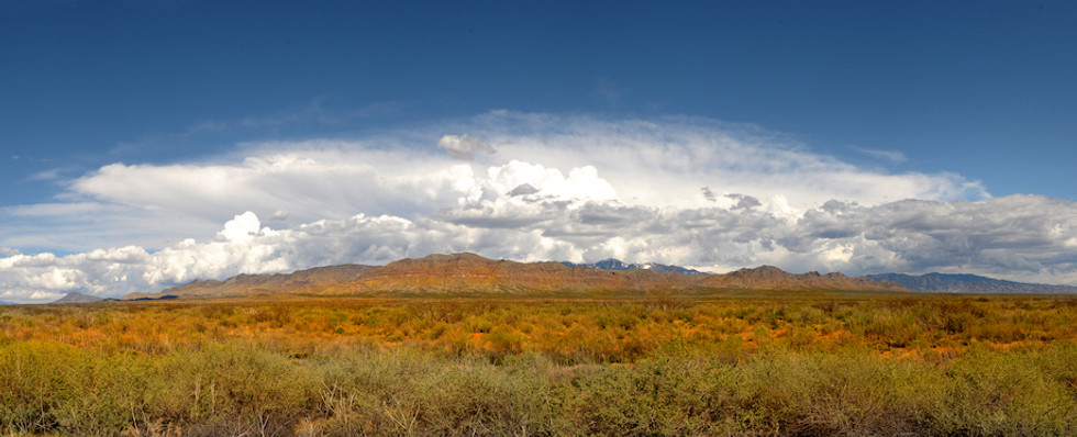 New Mexico 1