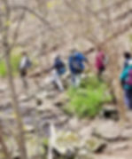 Patriots Path/Conifer Pass Trail Loop LAST HIKE IN MAY