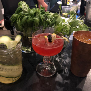 The Bartender's Garden