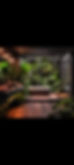Screenshot_20231210_182505_Gallery.jpg