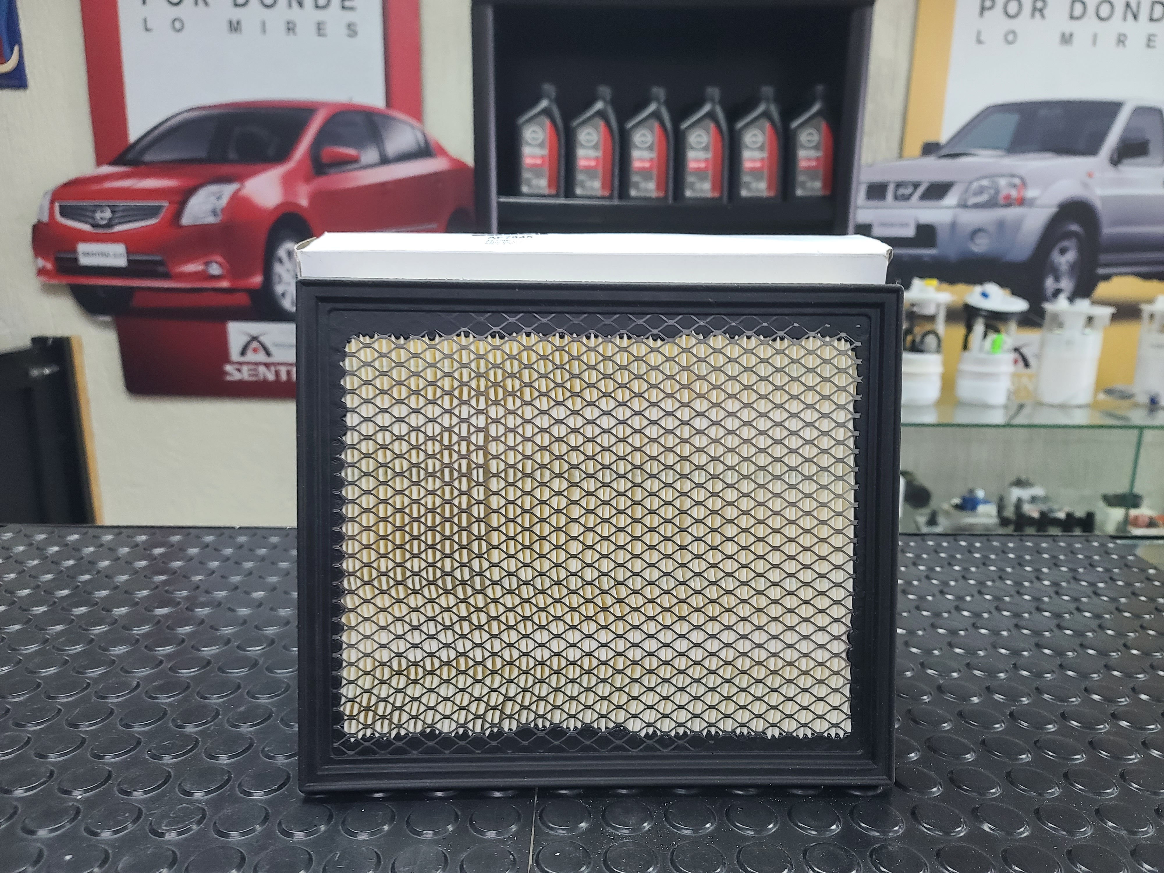 Filtro de Aire PATHFINDER R51-Titan-Armada