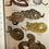Thumbnail: Roger Tory Peterson Animals Field Guides (5 Volumes)