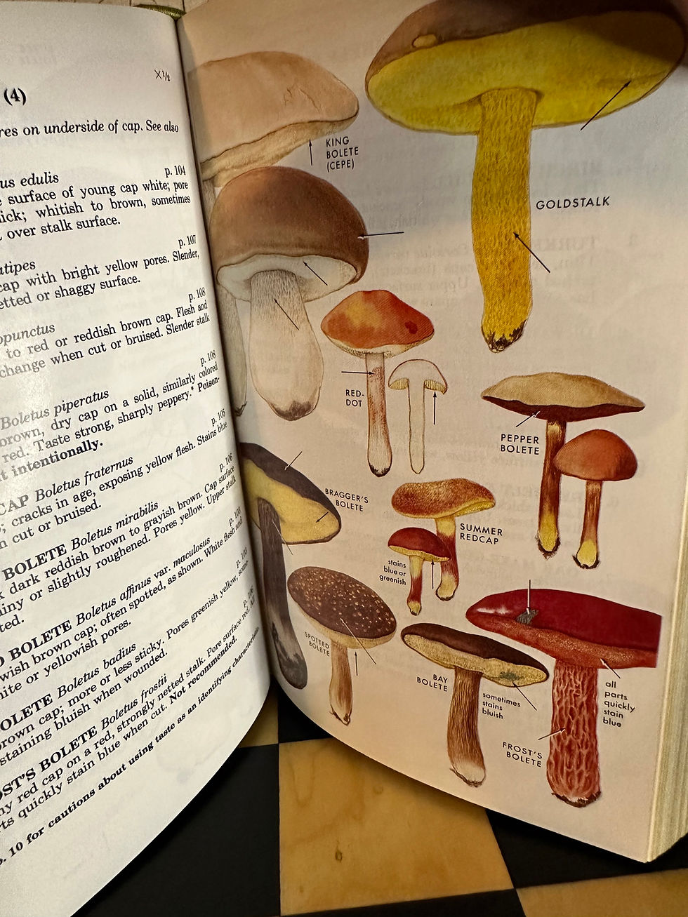 Thumbnail: Roger Tory Peterson Plants Field Guides (9 Volumes)