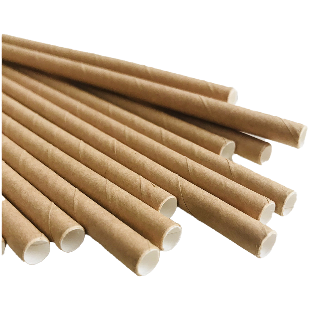 CANUDOS DE PAPEL PARA SUCOS E BATIDAS BIODEGRADÁVEL COLORIDO CHAPADO