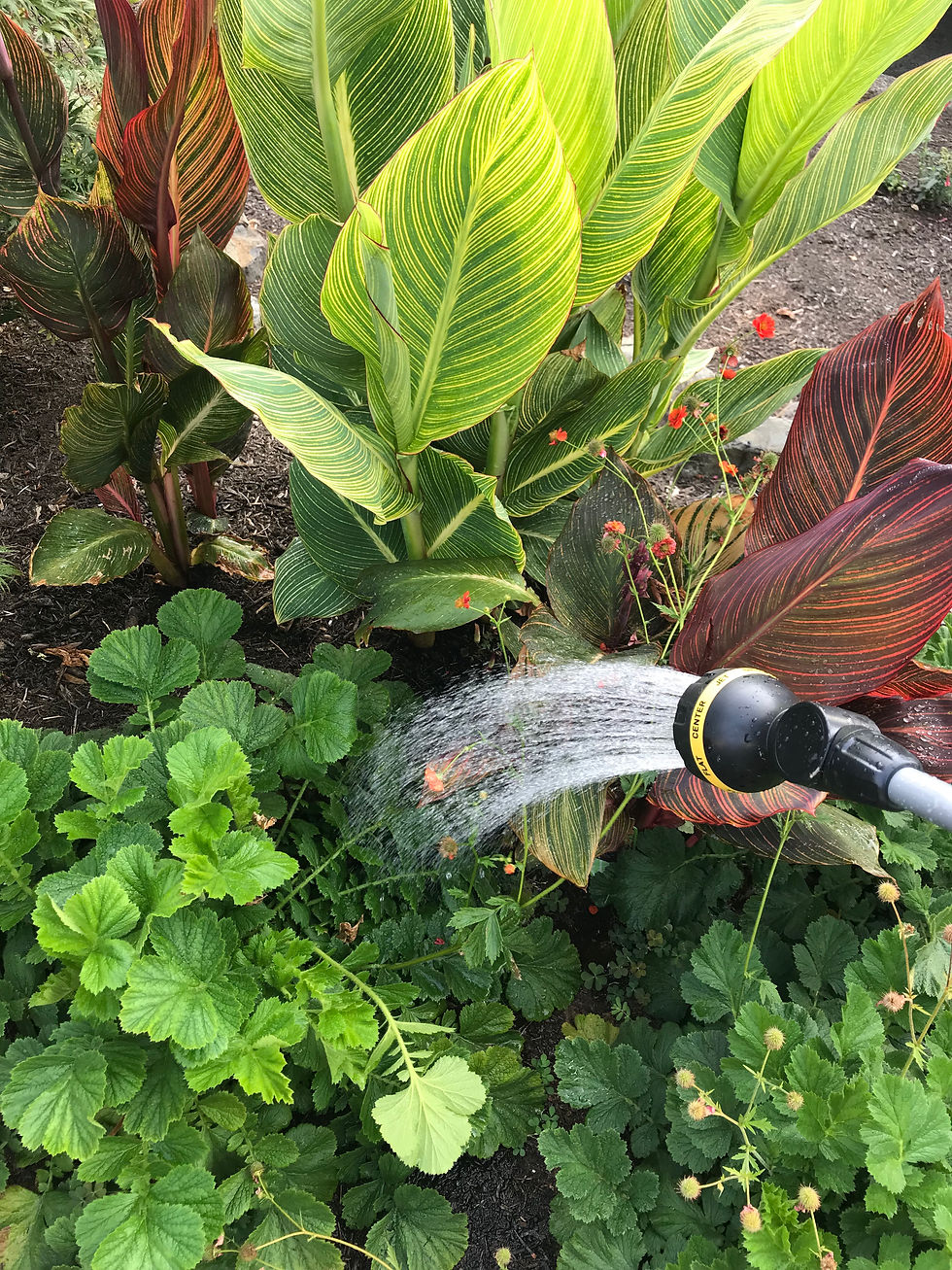 The Summer Water-Machine