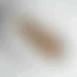 Glutenfreies Gericht schön angerichtet - Angebratene Zucchini