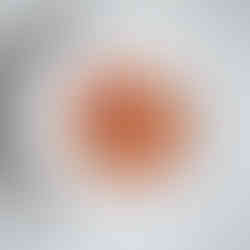 Glutenfreies Gericht schön angerichtet - im Anemoia Restaurant