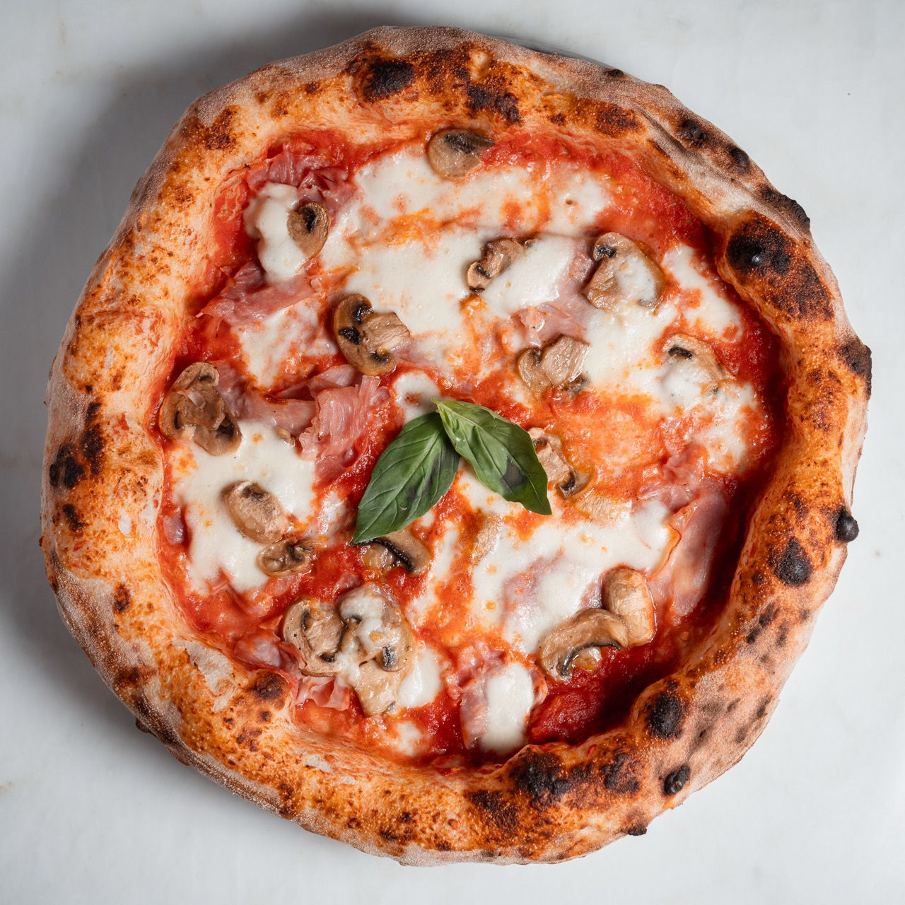 Detailaufnahme der Zutaten – frische Tomaten, Mozzarella, Basilikum und Olivenöl 