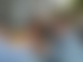 Geheimtipp Restaurant Zürich – 5 Gründe, das Anemoia zu entdecken