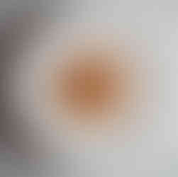 Glutenfreies Gericht schön angerichtet - Spaghetti Bolognese