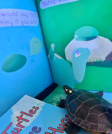 Bip views his page in Not All Turtles Love Hugs