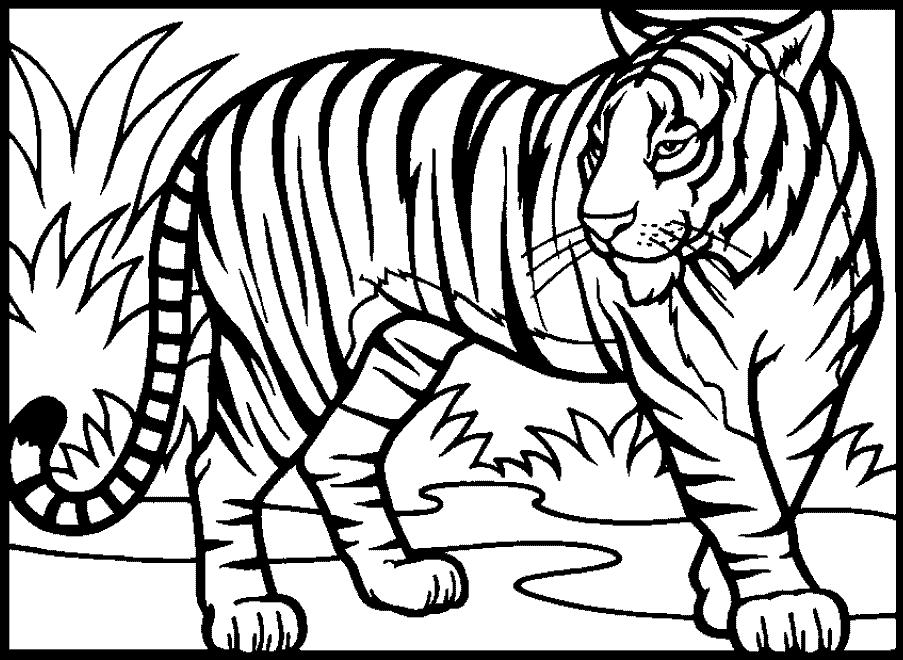 website-tiger.gif