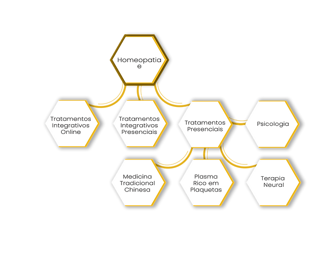 infografico colmeia-2.png