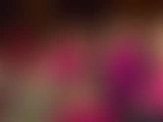 Soirée "Noémie Caillault" à Chinon