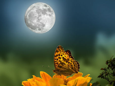 Vollmond im Mai – Blumenmond, Wonnemond