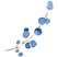 element (14)_edited.png