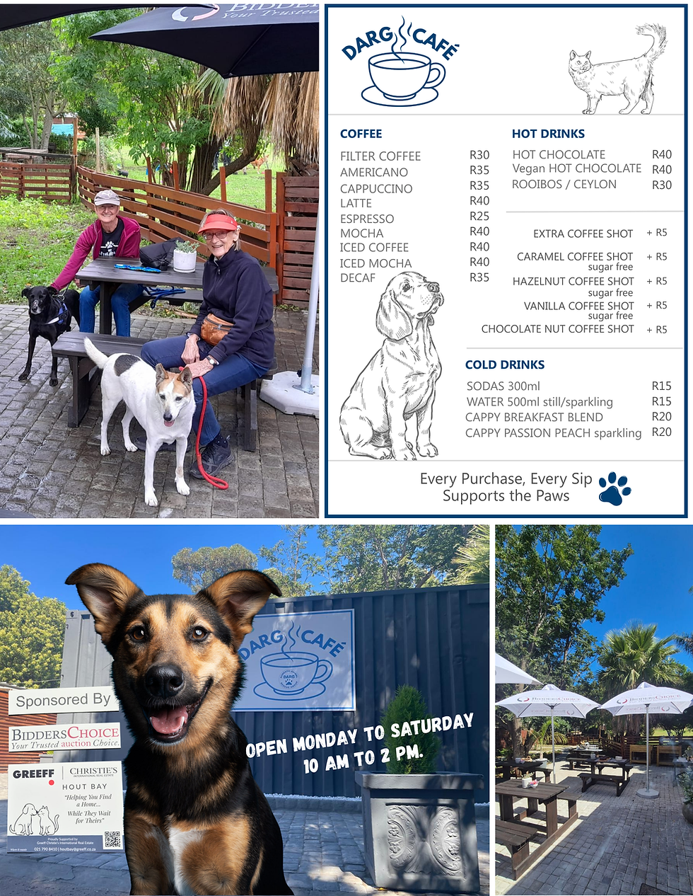 DARG SITE VERSION 2 (12).png
