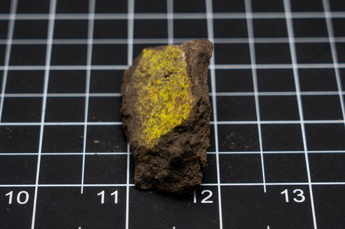 Uranium Ore 34.59g 16,000CPM | Uranium Store