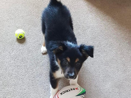 NEW COURSE ALERT! 🚨