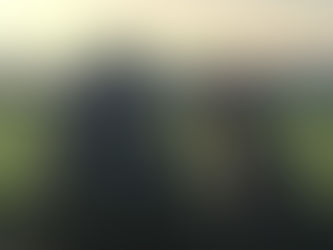 Does your dog struggle with men?