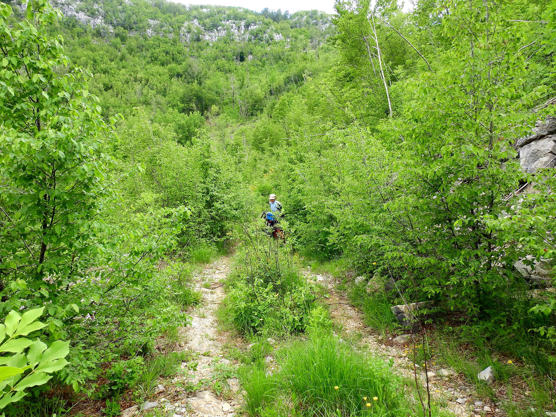 mn2