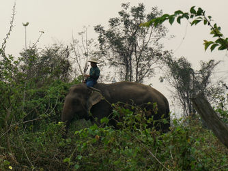 Luang Prabang to Vang Vieng