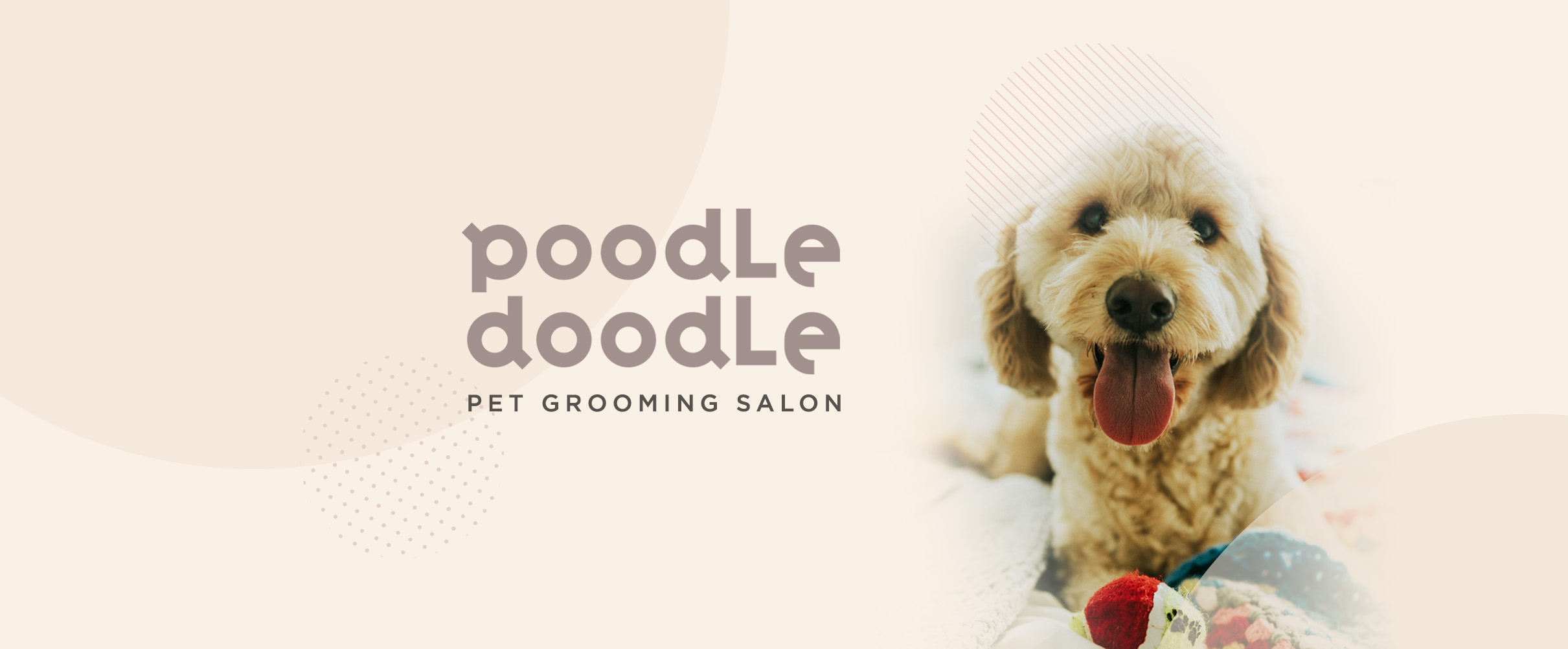 poodle doodle grooming