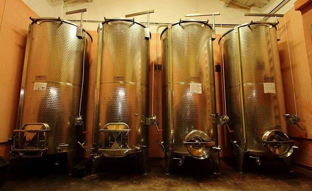 #CantinaWilma #wine #abruzzo