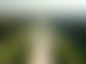 אטרקציות משפחתיות מופלאות לילדים בחיפה בקרבת דירת Airbnb Elixir on hillel