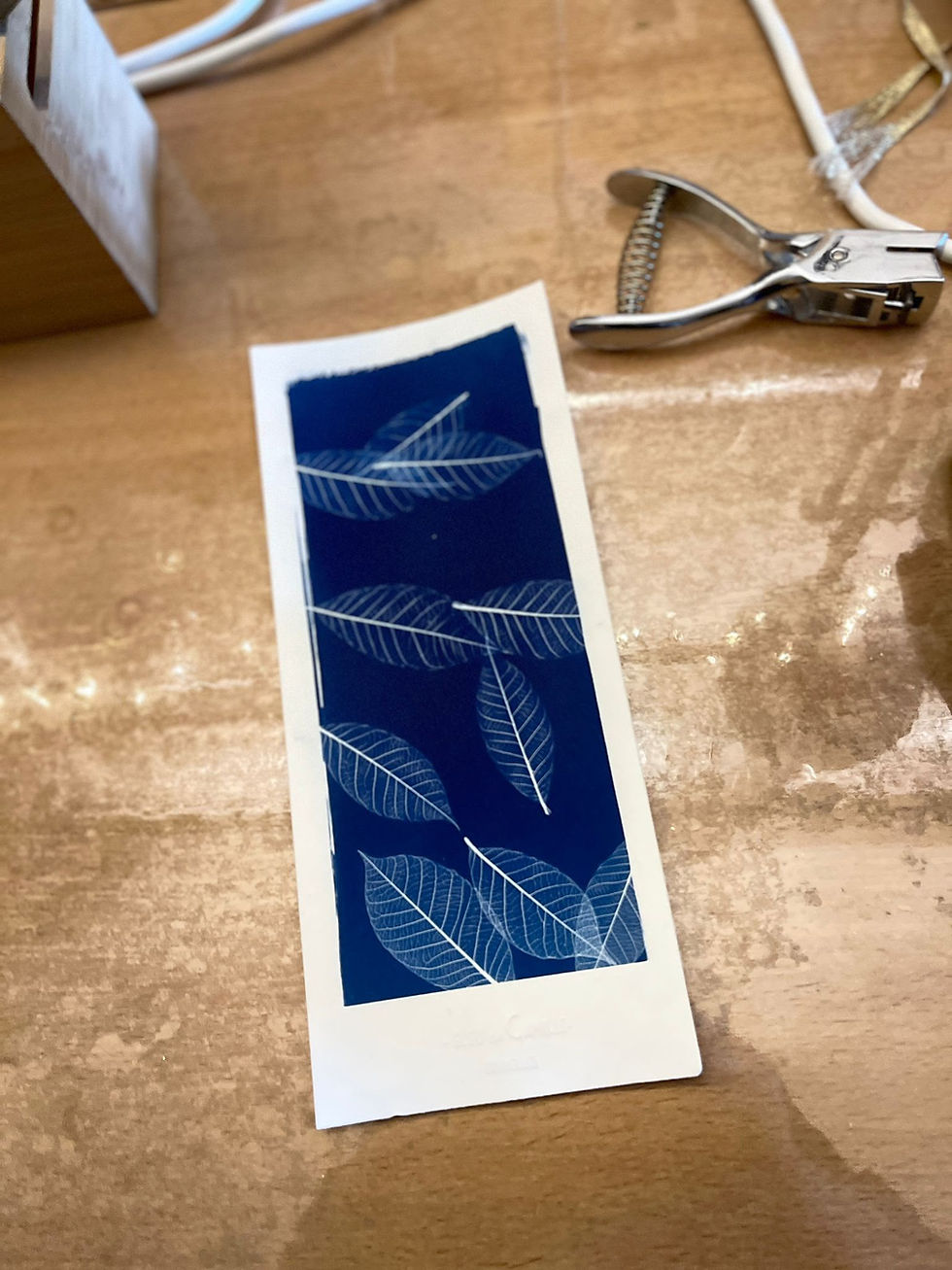Atelier "initiation au cyanotype" avec Bleu de Camille