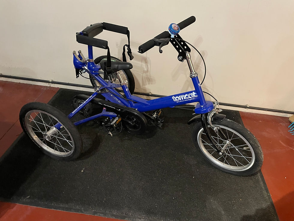 Thumbnail: Tomcat Fizz Trike