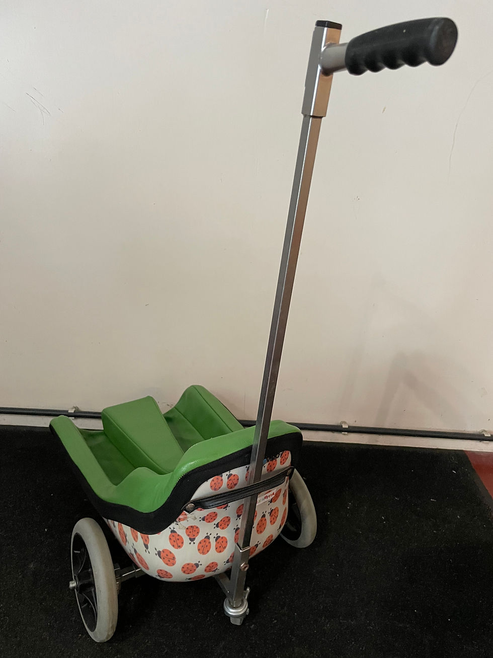 Thumbnail: "Kasterkarretje" - Mobiliteit voor peuters