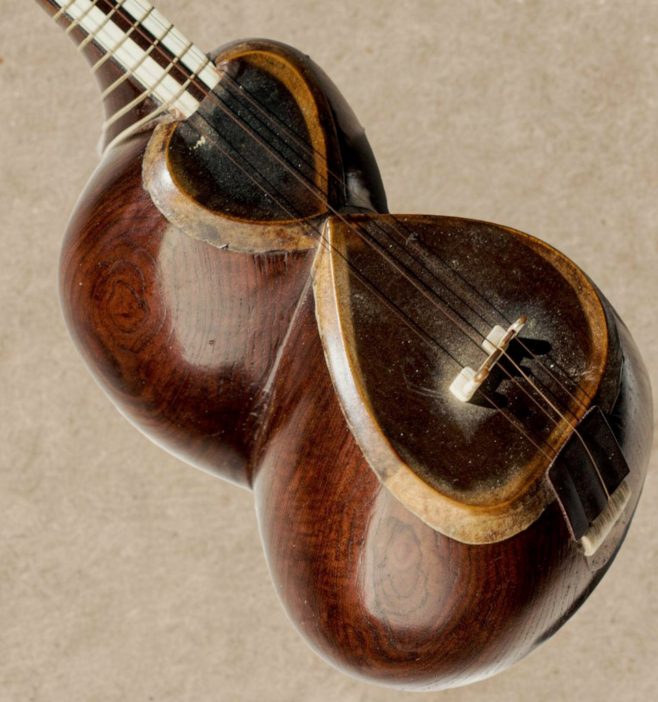 Thumbnail: Professional Persian Tar