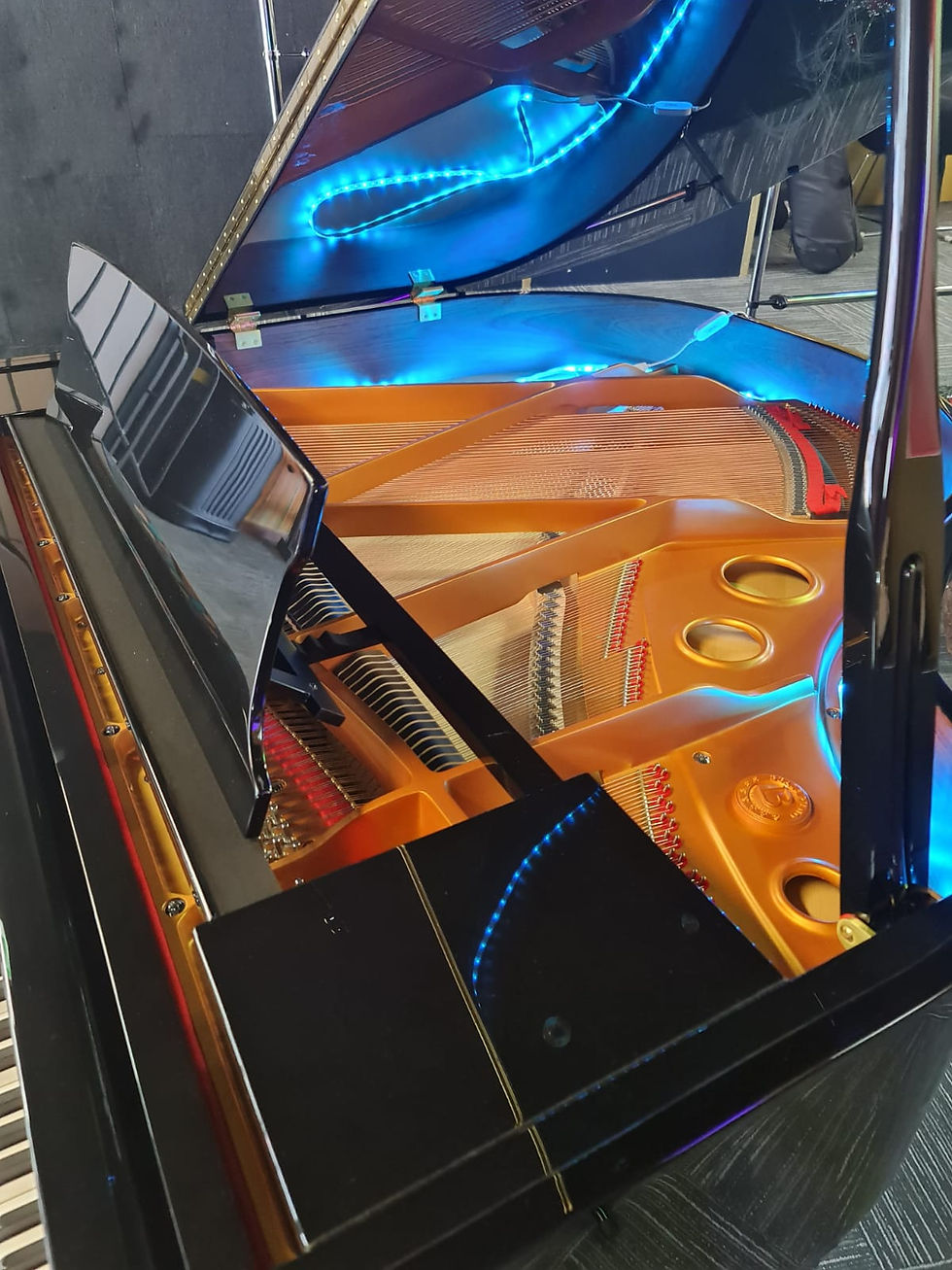 The Most Prestigious Piano Brands Madakto Art Centre