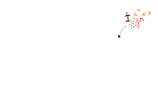 DOT-TO-DOT