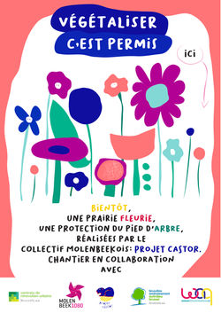 Projet Castor Affiches