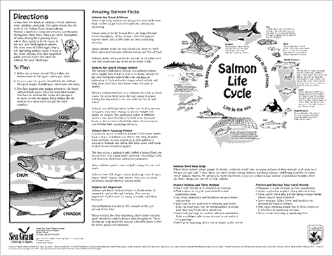 Migration Game Back SG-ED-34b.gif