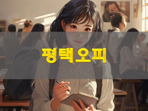 평택오피 초보자가 가장 먼저 체크해야 하는 ‘기초 판단 프레임’