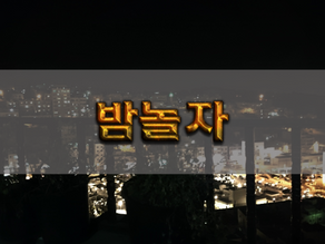 밤놀자 블로그 – 유흥 리스크 분석과 상권 흐름 인사이트