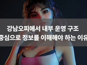 강남오피에서 내부 운영 구조 중심으로 정보를 이해해야 하는 이유