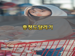 충청권 도시별 밤 분위기 차이로 선택 기준 잡는 방법