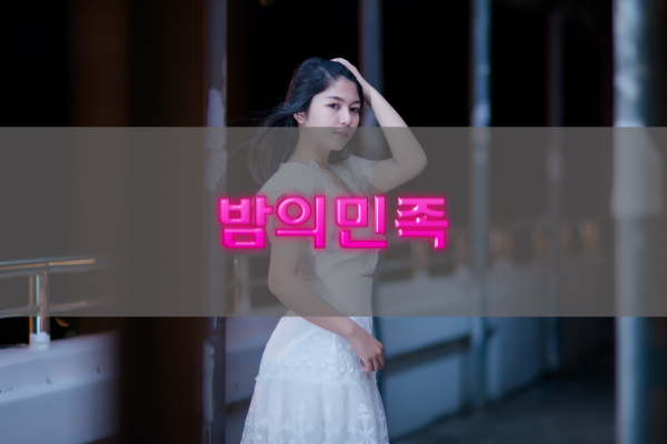 밤의민족 도메인