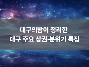 대구의밤이 정리한 대구 주요 상권·분위기 특징