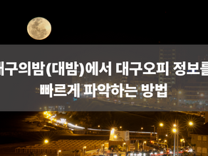 대구의밤(대밤)에서 대구오피 정보를 빠르게 파악하는 방법