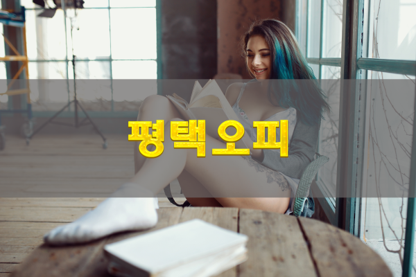 평택오피 도메인