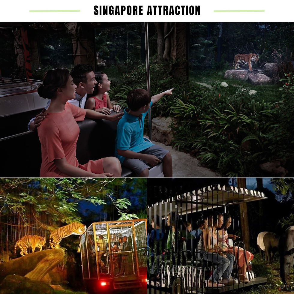 Thumbnail: Night Safari E-ticket (One day pass)