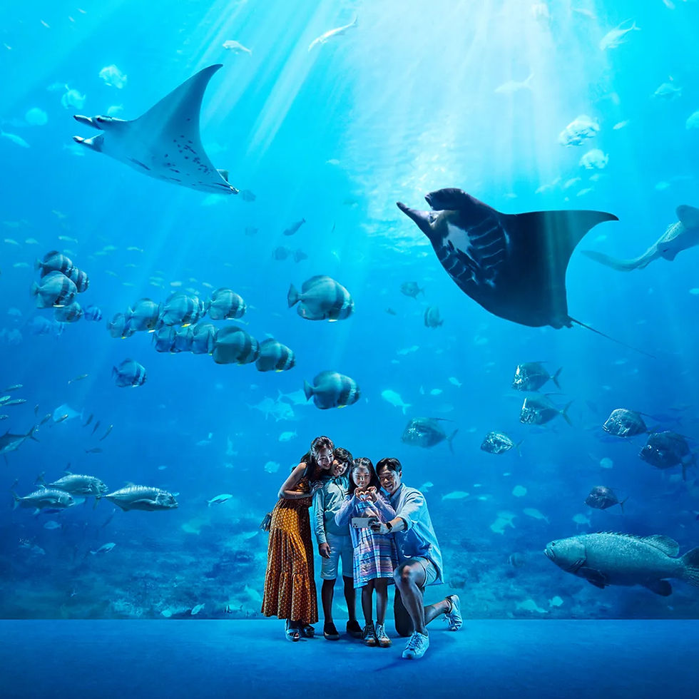 Thumbnail: S.E.A Aquarium E-ticket (One day pass)