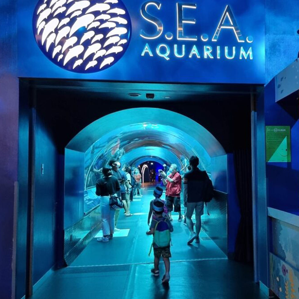 Thumbnail: S.E.A Aquarium E-ticket (One day pass)