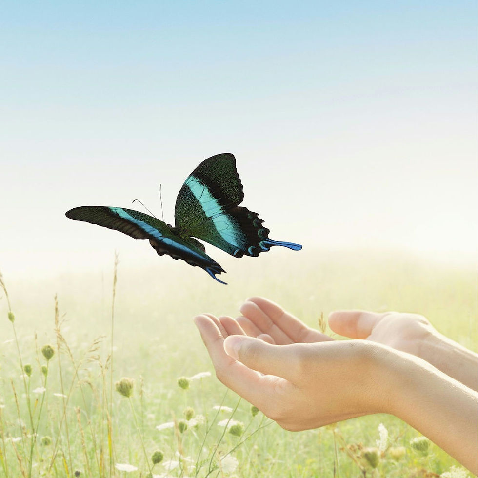 The Power of Relaxation: Finding Serenity on Sunday with Punarva