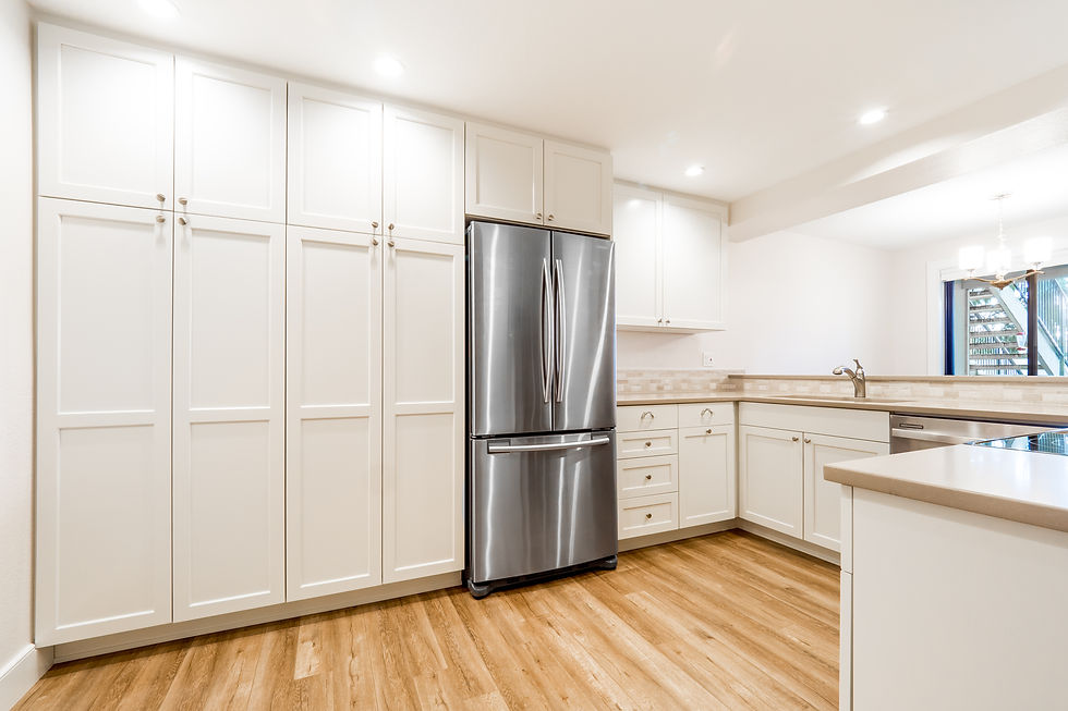 Kirkland Condo Remodel